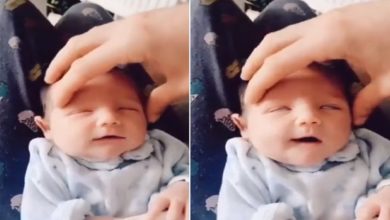 Photo of Viral Video: A child is seen getting a massage on the forehead with pleasure, expressions have won hearts