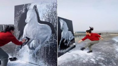 Photo of Viral Video: A woman made a beautiful painting of a horse in a unique style, people were stunned to see the video