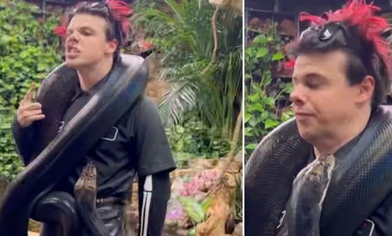 Viral Video: The man was posing with a black dragon wrapped around his neck, then seeing something like this happened, the heartbeat would increase!