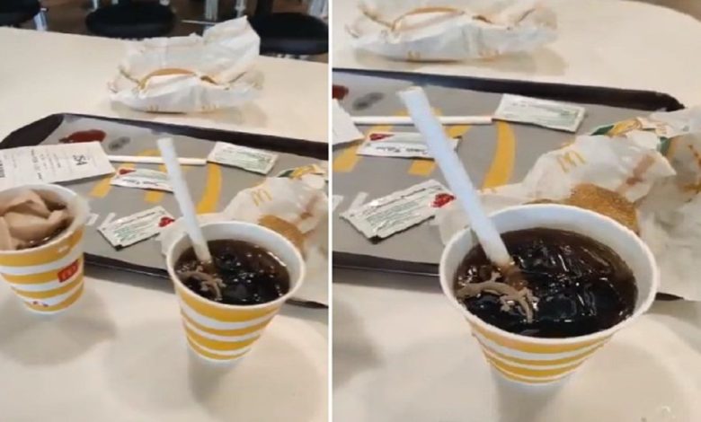 Viral Video: The person ordered a cold drink... then got a dead lizard in the 'bonus', people got angry after watching the video