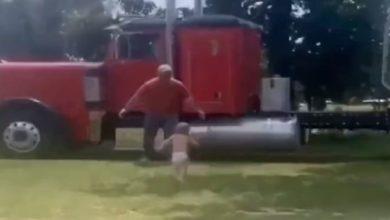 Photo of Cute Video: The child was happy to see the father returned from work, see how the race started to meet