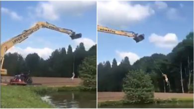 Photo of Funny: The person was swinging by tying a rope on JCB, then he will be shocked to see what happened