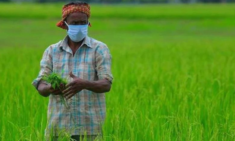 Now farmers will get free weather forecast information, IMD is working on new scheme