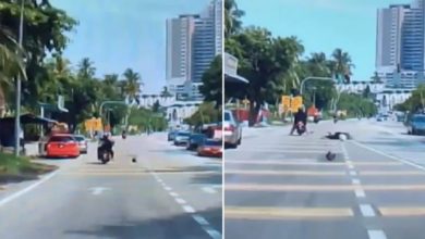 Photo of Shocking Video!  Coconut fell on the head of the woman sitting on the scooty, then you will be stunned to see what happened