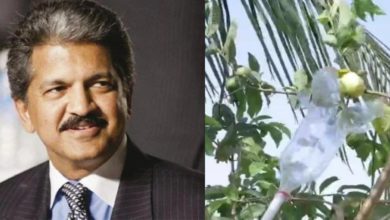 Photo of Viral: Man made a fruit breaker through desi jugaad, Anand Mahindra was impressed by the innovation