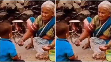 Photo of Viral: People’s heart swells after seeing grandmother taking off her grandson’s eyes;