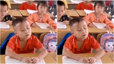 Photo of Viral: The child was seen sleeping in the class in a cool way, watching the video will refresh the childhood memories