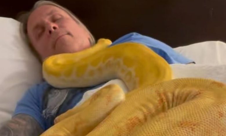 Viral Video: A man was seen sleeping like this with two giant pythons, people screamed after watching the video