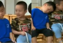 Photo of Viral: When the child slept during the class, the friend played like a shoulder to shoulder, people remembered the days of childhood after watching the video