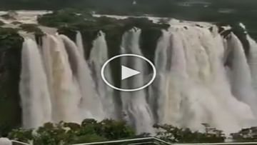 Photo of A foreigner stunned by the beauty of India’s ‘Niagra Falls’, wrote a heart touching story by sharing the video