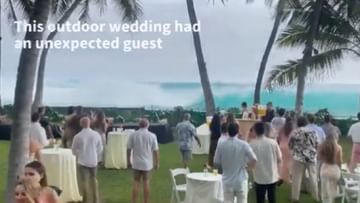 Photo of Dangerous sea waves ruined the wedding reception, the guests were forced to flee, see VIDEO