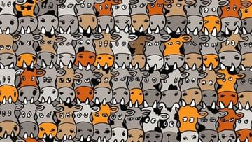 Photo of Optical Illusion: A dog is hidden in a herd of cows, find it in 10 seconds and then know, 99 percent have failed to find it