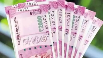 Rupee not expected to improve in current financial year, may fall further: Report