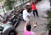 Photo of Shocking!  When the dog barked, he attacked the owner with an iron rod, watching the video, the public said – what has happened to the people