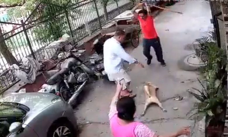 Shocking!  When the dog barked, he attacked the owner with an iron rod, watching the video, the public said - what has happened to the people