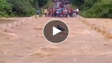 Photo of The havoc of the flood… the person was swept away in the sharp edge trying to cross the road, the soul of the people trembled after seeing the VIDEO