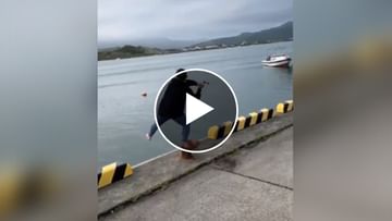 Viral Video: Brother, who catches fish like this ...