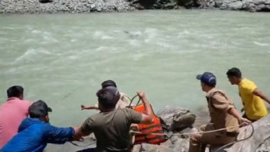 Photo of Viral Video: Cow was trapped on the banks of the river, the police did some rescue, the video is winning the hearts of the people