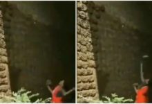 Photo of Viral Video: In a special way, the woman decorated the wall with cow dung cakes, everyone is praising the talent