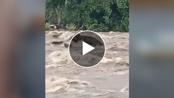 Photo of Elephant trapped in the strong current of the river, the forest department’s team saved the life of the animal like this, see VIDEO