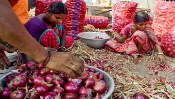 Money9: In the current era of inflation, onion should not increase your trouble