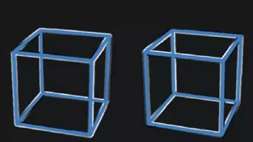 Optical Illusion: The challenge is... you will also see the cubes moving, but both are fixed in their place