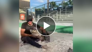 Shocking Video!  Dangerous crocodile is hugged by a man, the video going viral