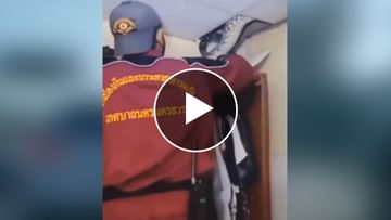 Photo of The python was hiding in the wall of the house, attacked as soon as it was removed, watch the video