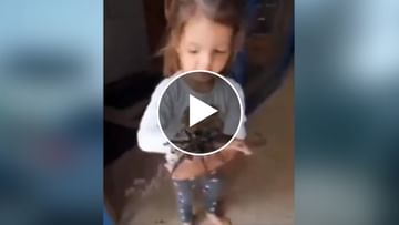 Photo of VIDEO: The girl was seen playing with ‘giant’ spiders, people said – ‘This is madness’