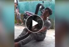 Photo of Boy started dancing with King Cobra in his hand, people were stunned to see VIDEO