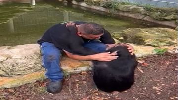 Photo of Chimpanzee consoles the crying person by becoming a friend, users will be mesmerized after watching the viral video
