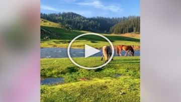 Photo of Have you ever seen this beautiful view of ‘Paradise’ of India?  Foreigner shared VIDEO