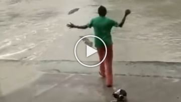 Photo of ‘Mummy’ showed slippers, then the dangerous crocodile ran away in fear;  funny this video