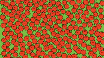 Photo of Optical Illusion: 3 apples hidden among tomatoes, find it in 10 seconds