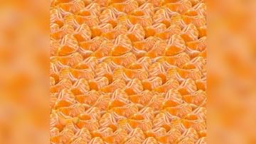 Optical Illusion: Cantaloupe is hidden among the oranges, find it in 10 seconds