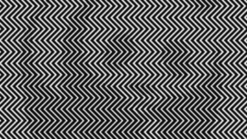 Photo of Optical Illusion: Only those with sharp eyes will be able to find the hidden animal, 99% of the people failed
