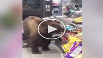 Photo of The bear ran away stealing snacks from the shop, funny video went viral