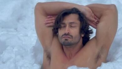 Photo of Vidyut Jammwal shared shocking pictures, was seen doing martial arts under the snow