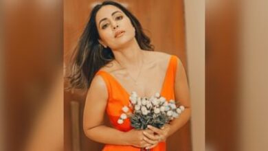 Photo of Hina Khan showed off her bold avatar wearing a backless dress, see hot look