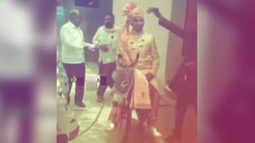 Photo of If the mare was not found, then the groom reached the donkey to take the bride, the public was shocked to see VIDEO