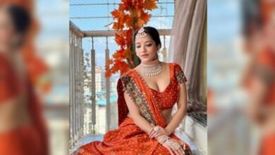 Photo of Monalisa’s Navratri look is very spectacular, the actress showed her desi style in an orange printed sari