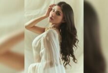 Photo of Mouni Roy gave such a pose in a white sari, fans were blown away by the simplicity