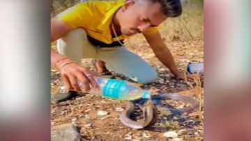 Photo of The boy was seen giving water to the thirsty cobra, people were also stunned after watching the video!