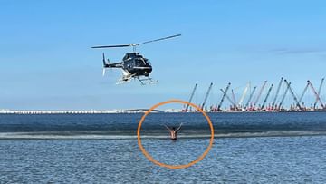 Photo of Thief started running through the sea after stealing the purse of the woman, helicopter had to be called to catch