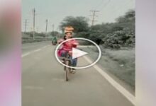 Photo of VIDEO: Classical dance on a cycle with an urn on her head, the girl won her heart