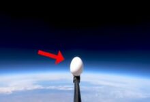 Photo of An egg dropped on the earth from space, the result surprised;  WATCH VIDEO