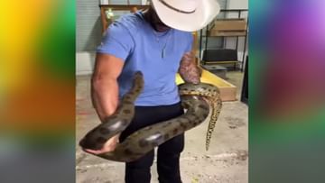 Photo of Anaconda attacked the person like this, this video will give goosebumps