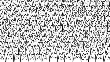 Photo of Optical Illusion: Bat is hiding among cats, can you find it in 11 seconds?
