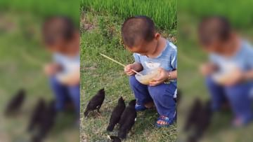 Photo of Child shown feeding birds, innocent won everyone’s heart by showing humanity