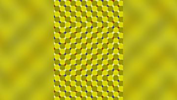 Photo of Optical Illusion: Tell me how many curved lines did you see?